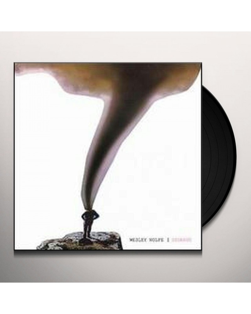 Wesley Wolfe Storage Vinyl Record $5.73 Vinyl