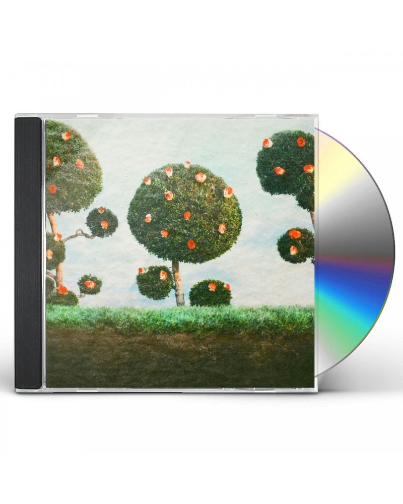 Midnight Sister PAINTING THE ROSES CD $4.20 CD