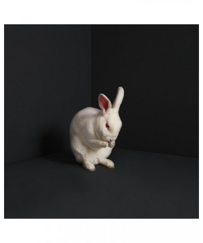 Brume RABBITS CD $5.06 CD