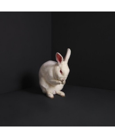 Brume RABBITS CD $5.06 CD